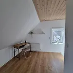 Willkommen In Frifelt Naehe Romo Mit Wunderschoenen Garten Tatil Evi *